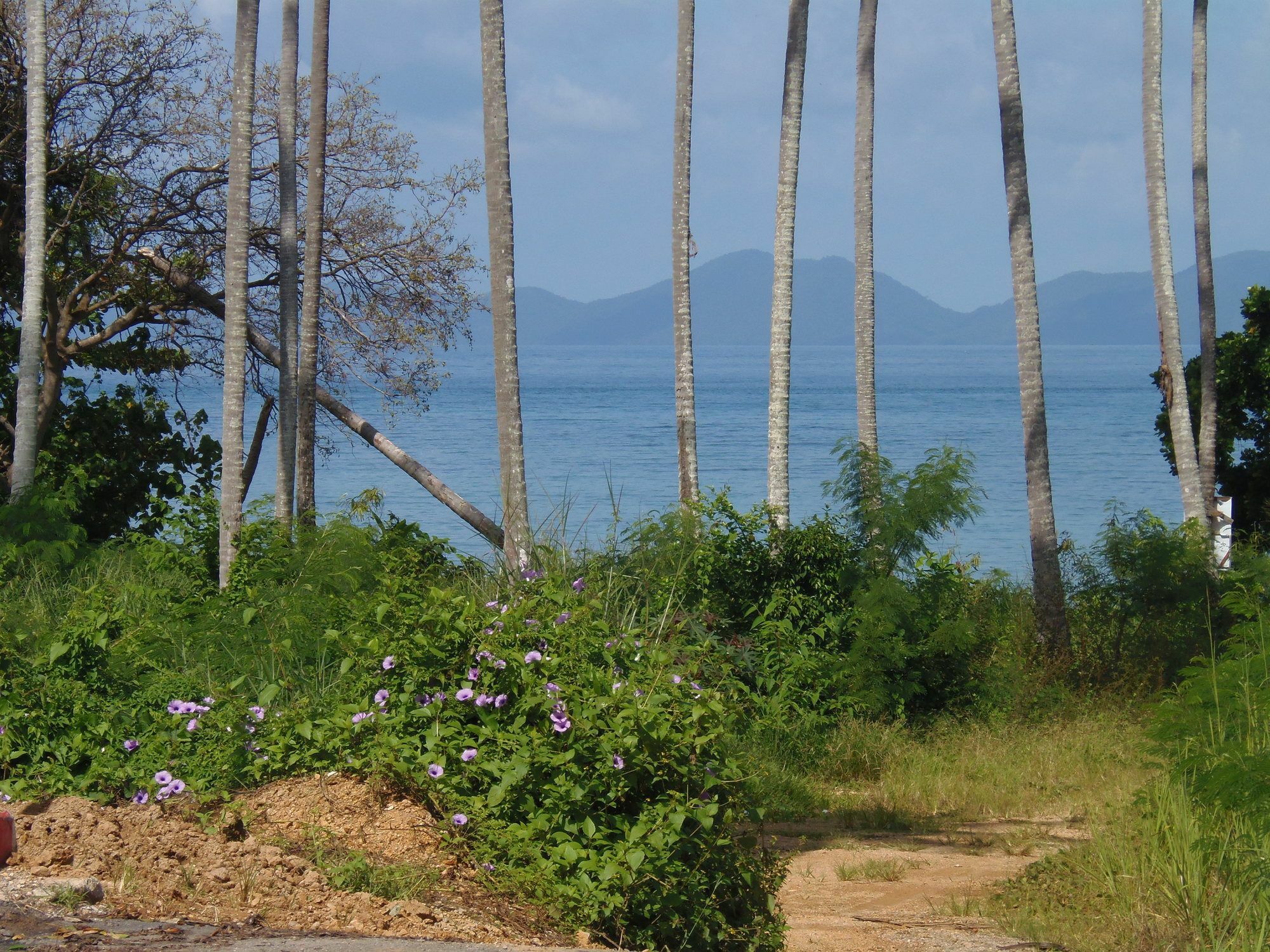 Elephants End Guesthouse Krabi Ao Nang Exteriör bild